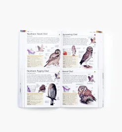 Pocket Birds Of Canada, 2nd Edition Birding