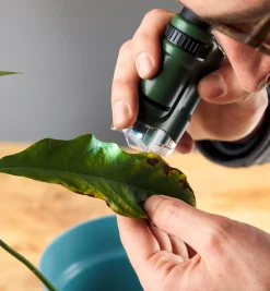 Sale Pocket Microscope Office