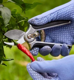 Sale Pocket Pruner Pruners