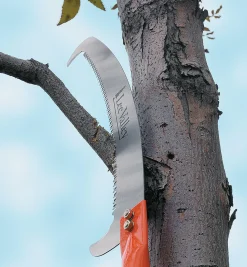 Best Pole Saw Head Saws