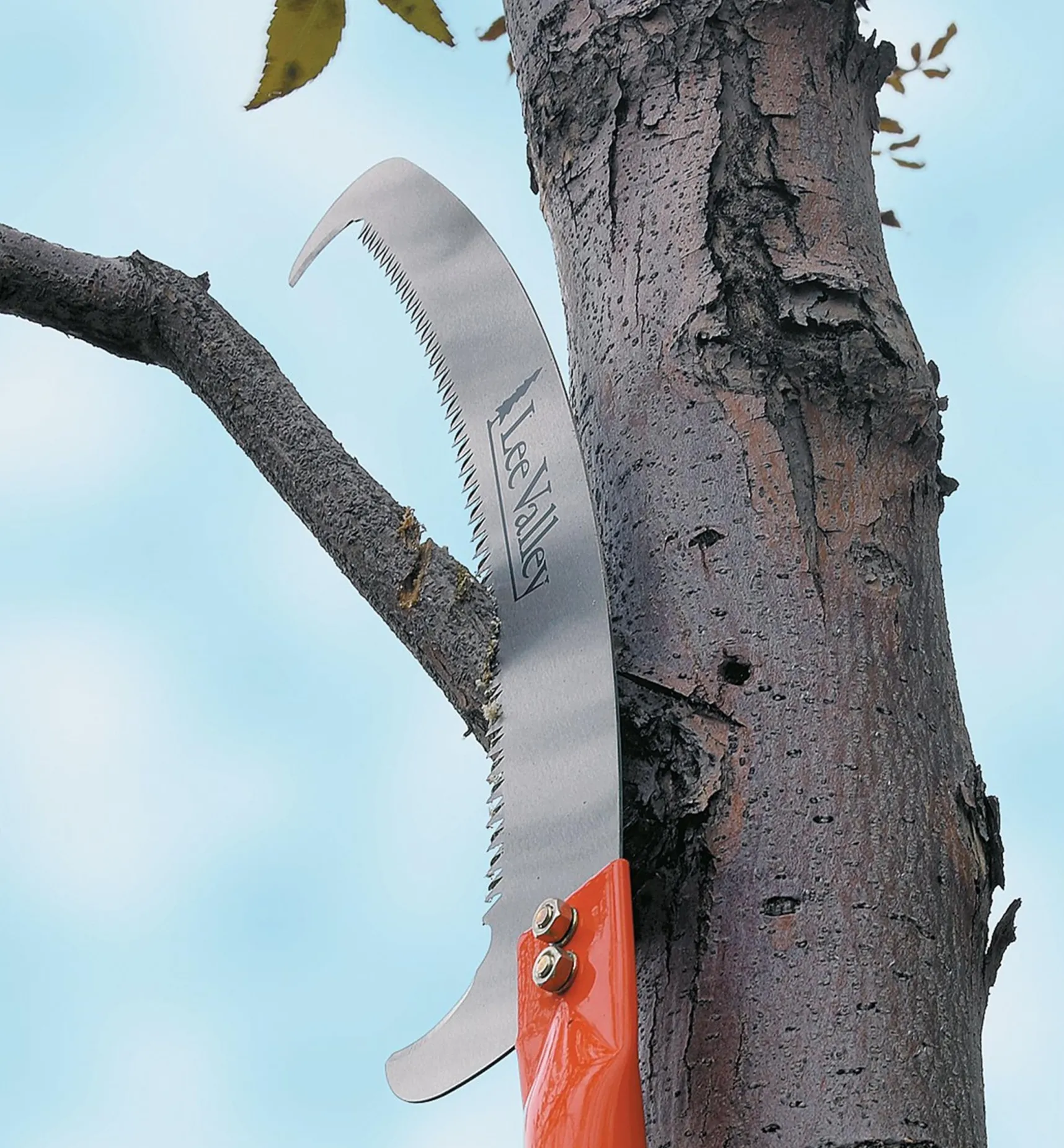 Best Pole Saw Head Saws