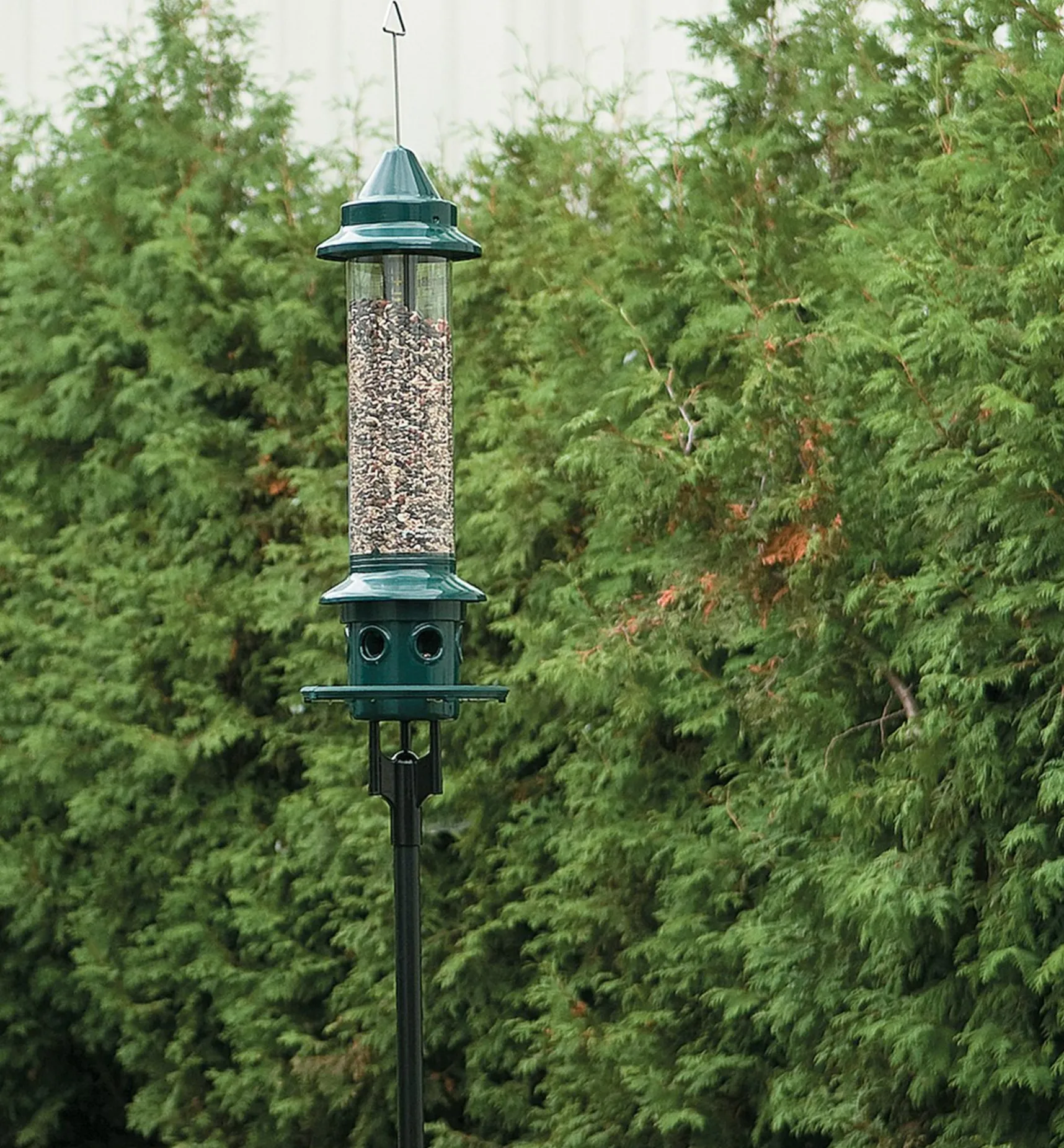 Best Pole Adapter For Squirrel Buster Plus Birding