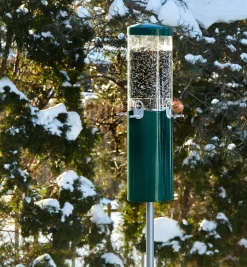 New Pole-Mounted Squirrel-Proof Bird Feeder Birding