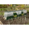 Best Poly Plant Tunnel Plant Protection