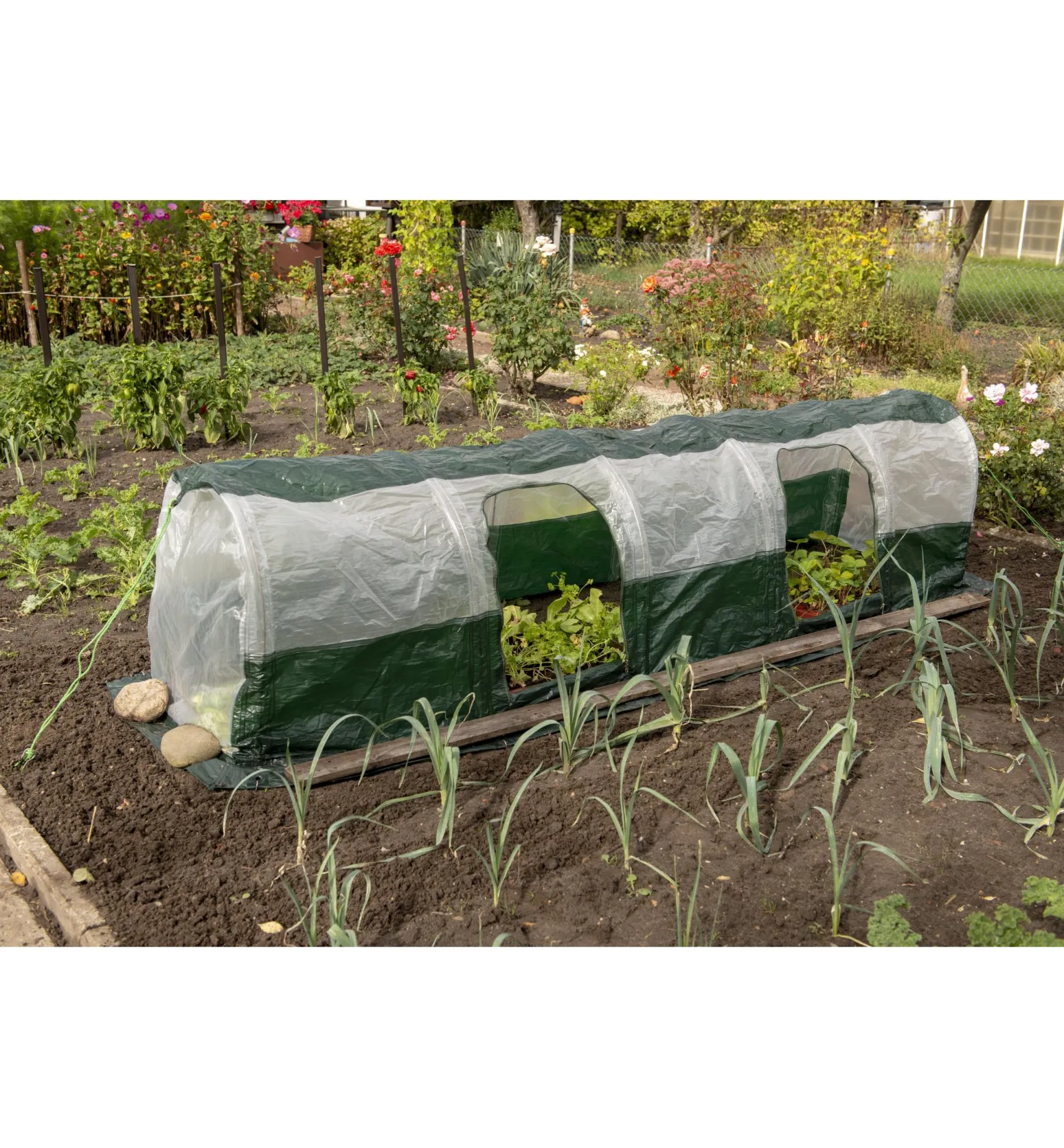 Best Poly Plant Tunnel Plant Protection