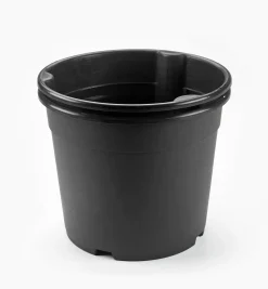 Best Potato Pot Harvesting