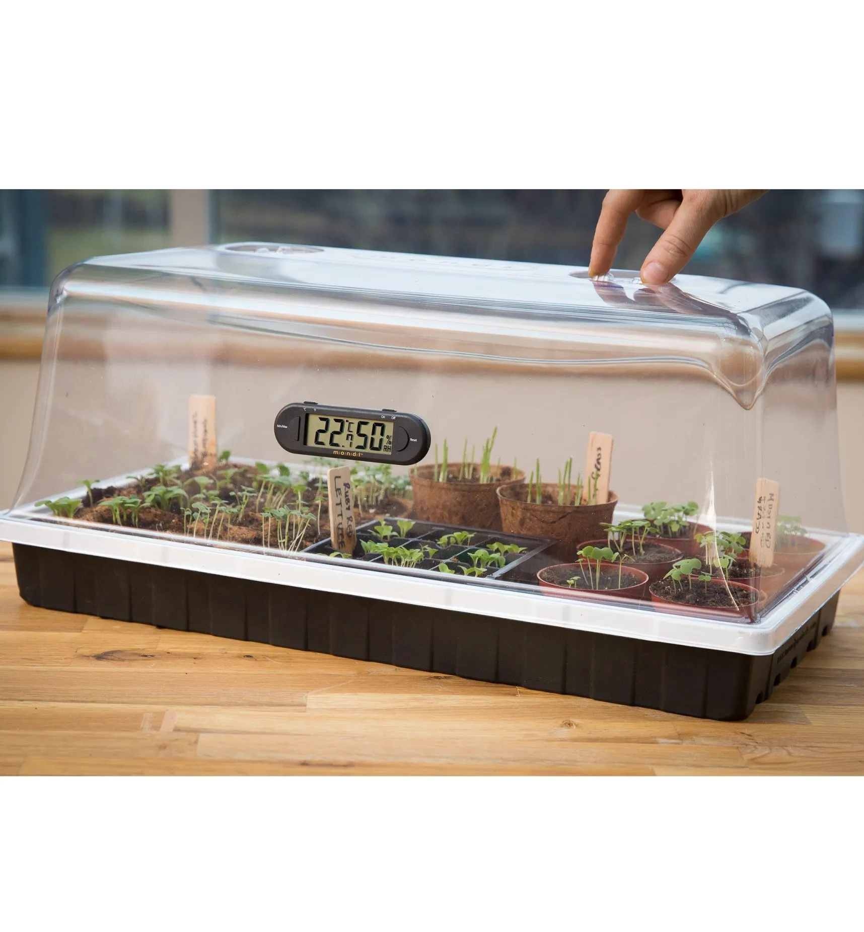 Outlet Propagation Dome & Tray Seed Starting