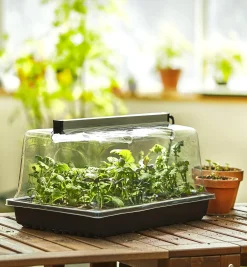 Discount Propagation Tray, Dome, Grow Light & Timer Set Seed Starting