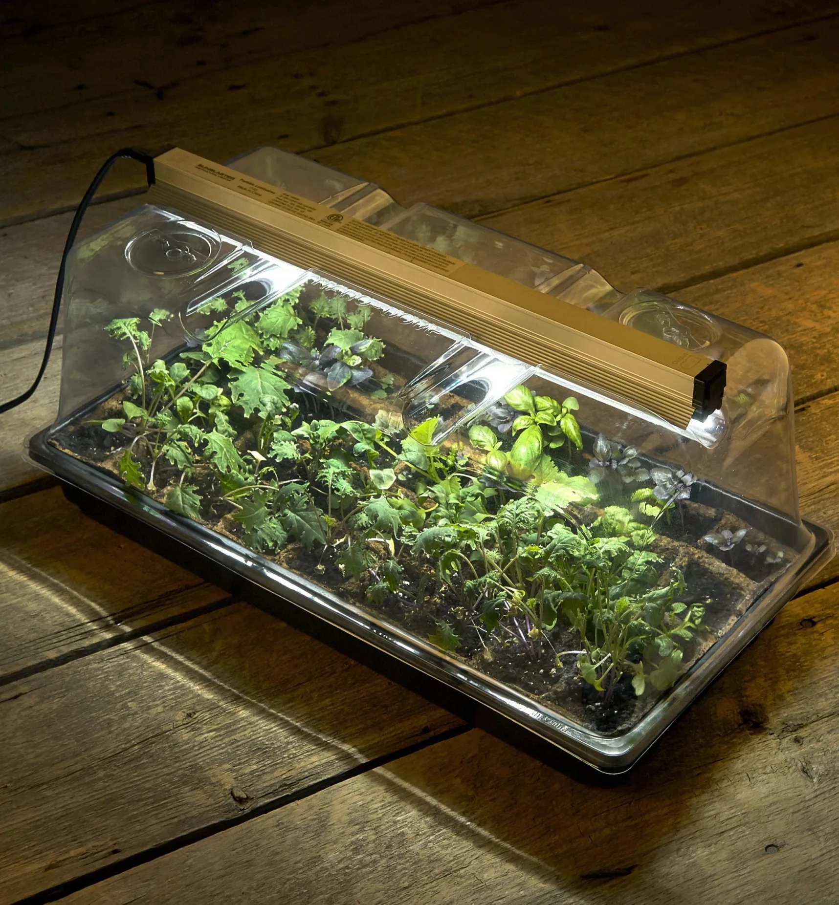 Discount Propagation Tray, Dome, Grow Light & Timer Set Seed Starting