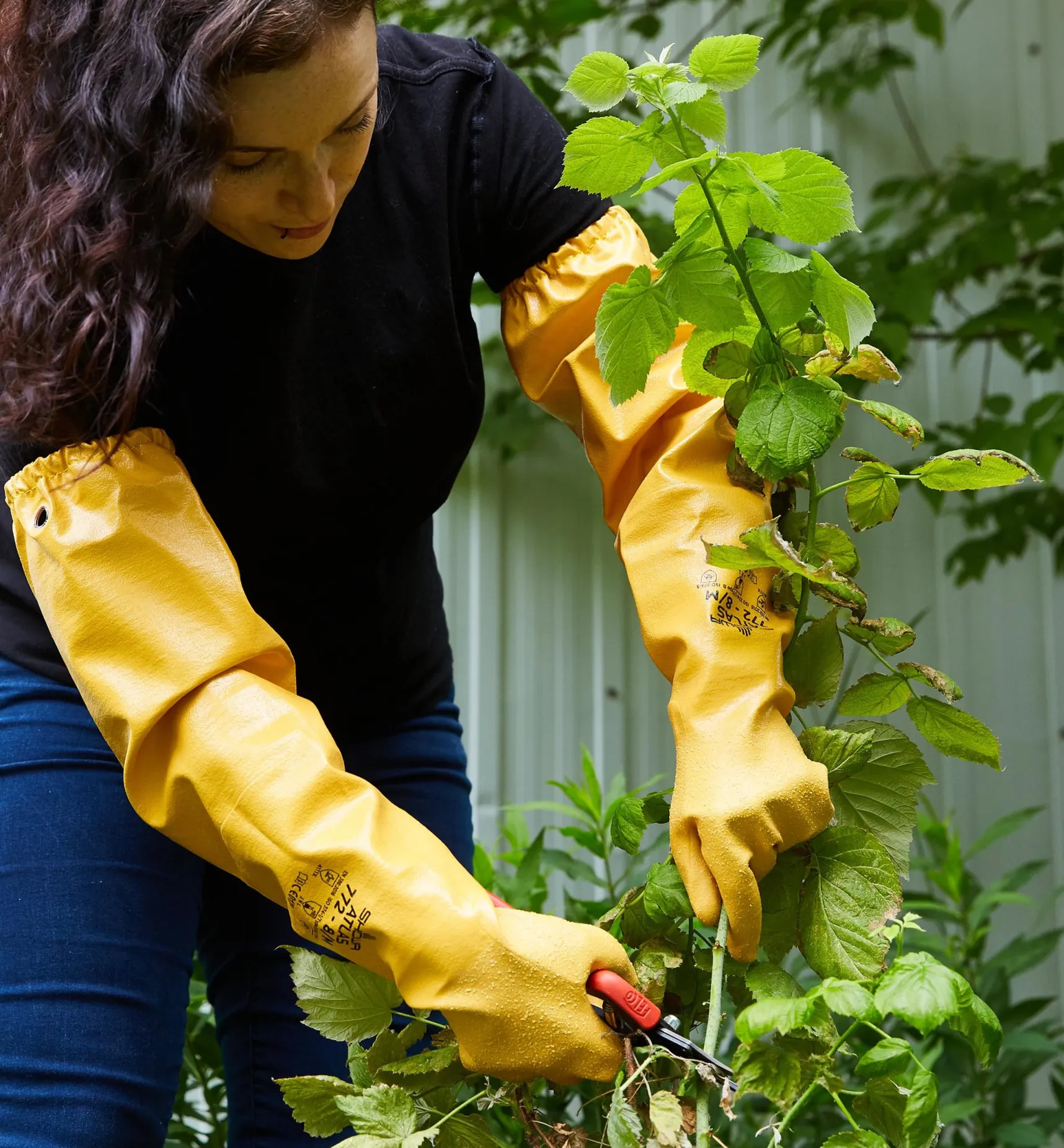 Clearance Protective Pruning Gloves Gloves