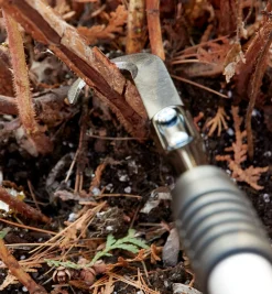Best Raspberry Cane Cutter Pruners