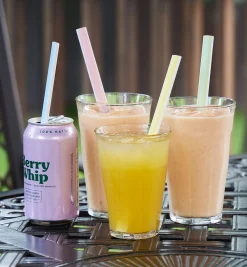 Outlet Reusable Slider Straws Serveware