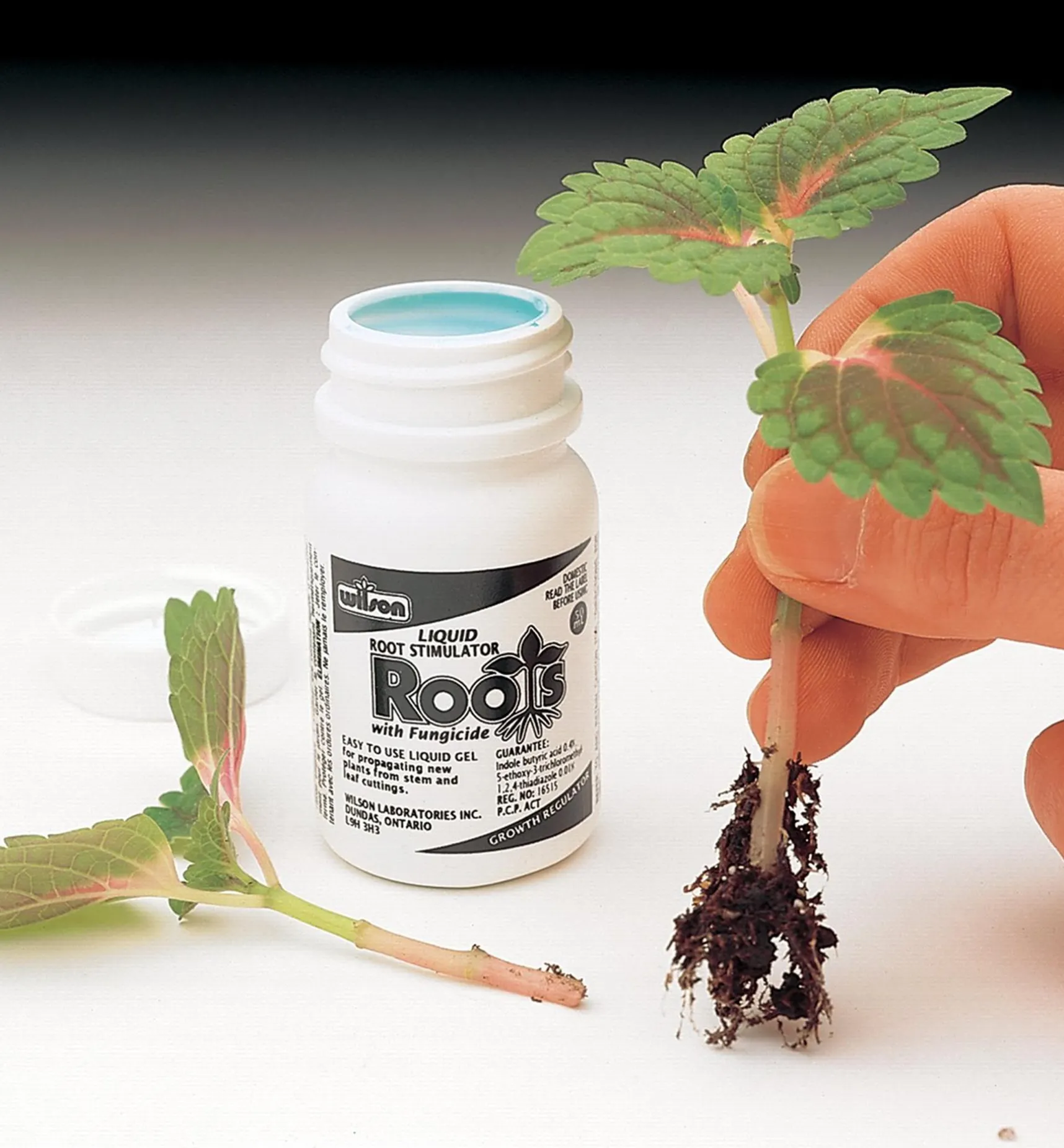 Best Root Stimulator Propagation