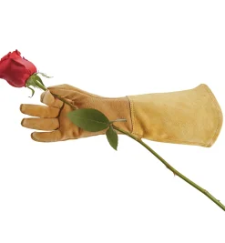 Outlet Rose Gloves, Women’s Sizes Gloves