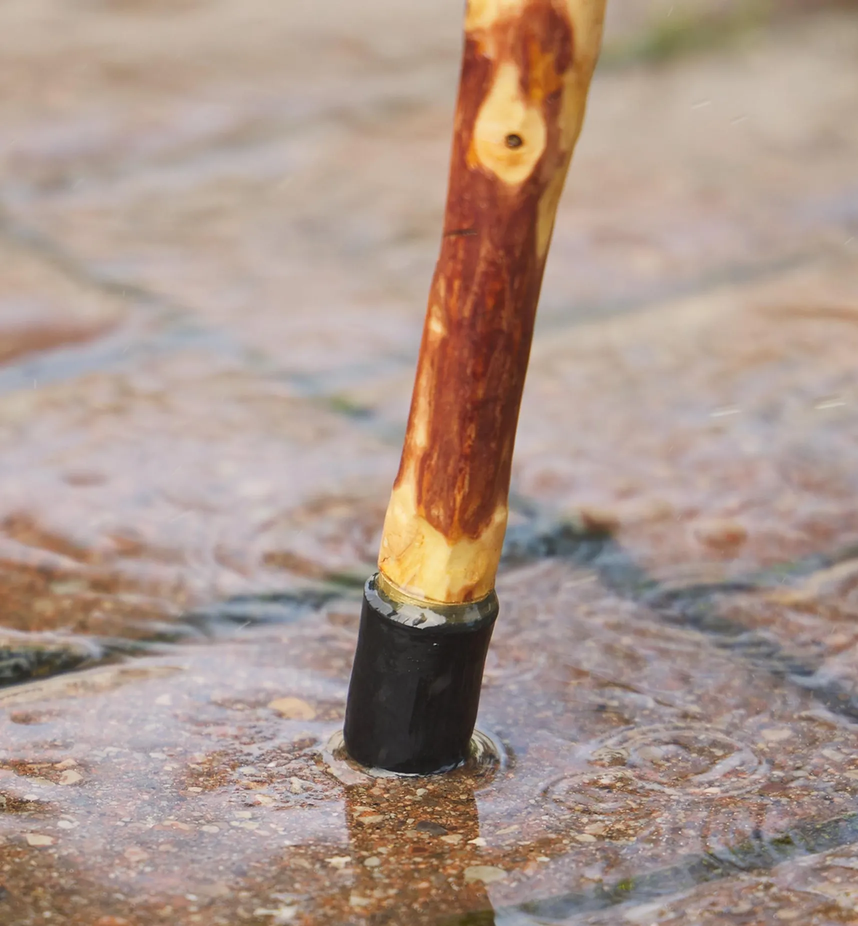 Hot Rubber/Brass Cane Tip Supplies