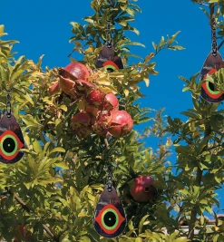 Best Scare Eye Bird Deterrents Pest Control