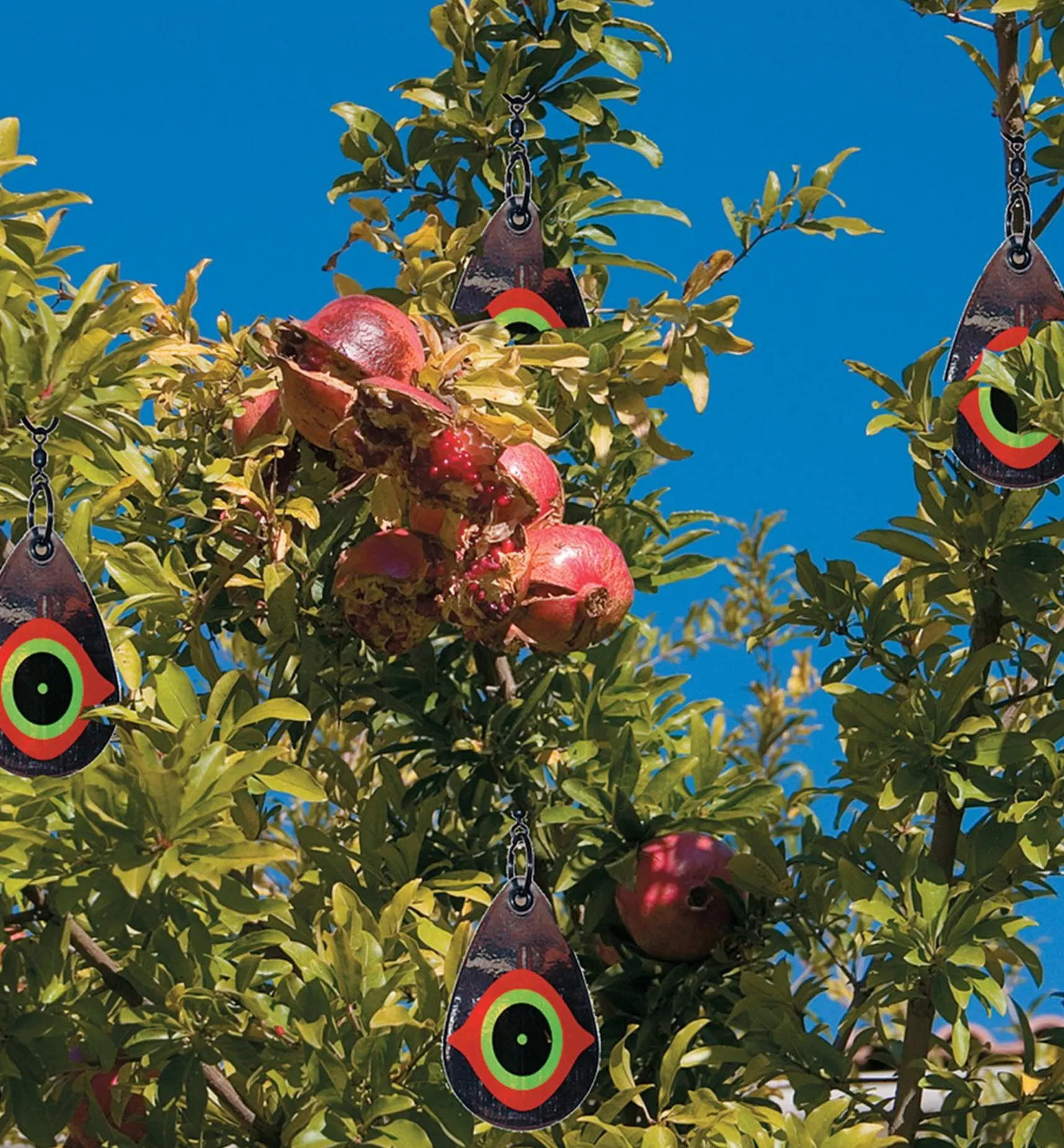 Best Scare Eye Bird Deterrents Pest Control