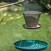 Outlet Seed Saucer Birding