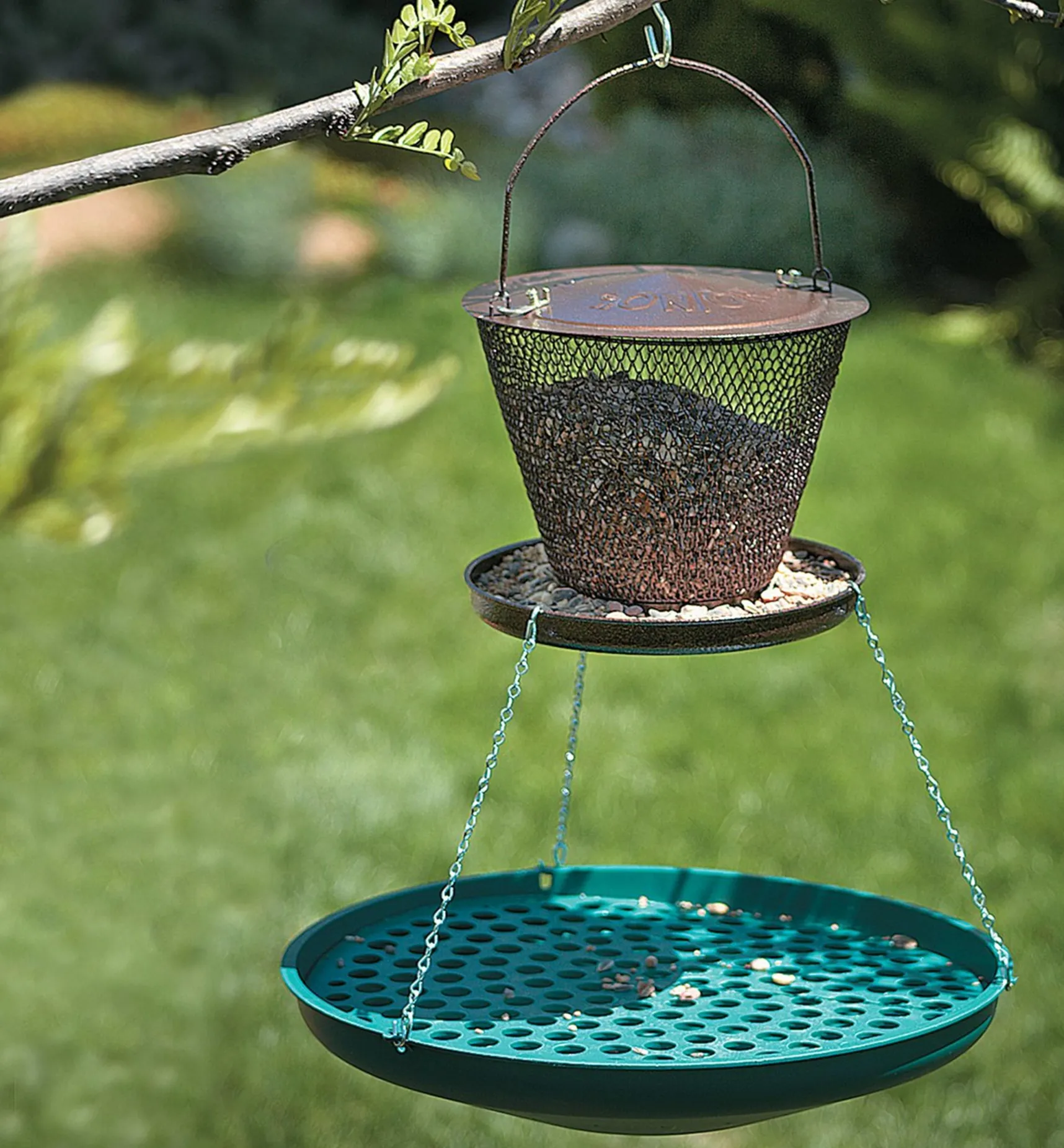 Outlet Seed Saucer Birding