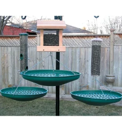 Outlet Seed Saucer Birding