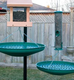 Outlet Seed Saucer Birding