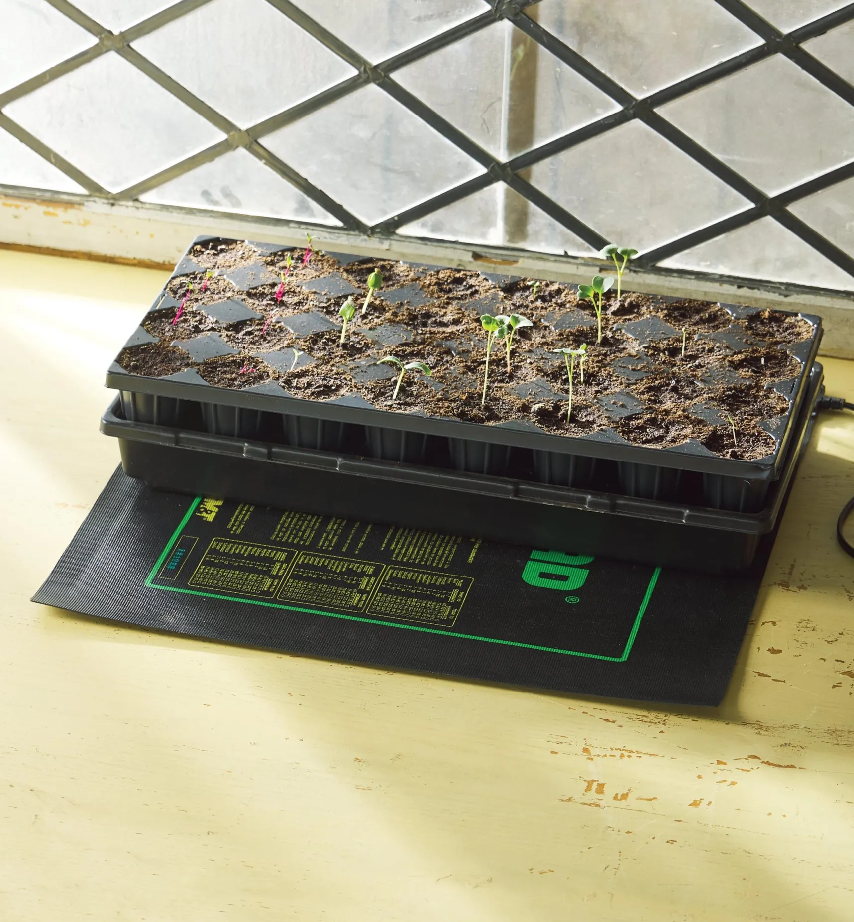Outlet Seedling Heat Mats Seed Starting