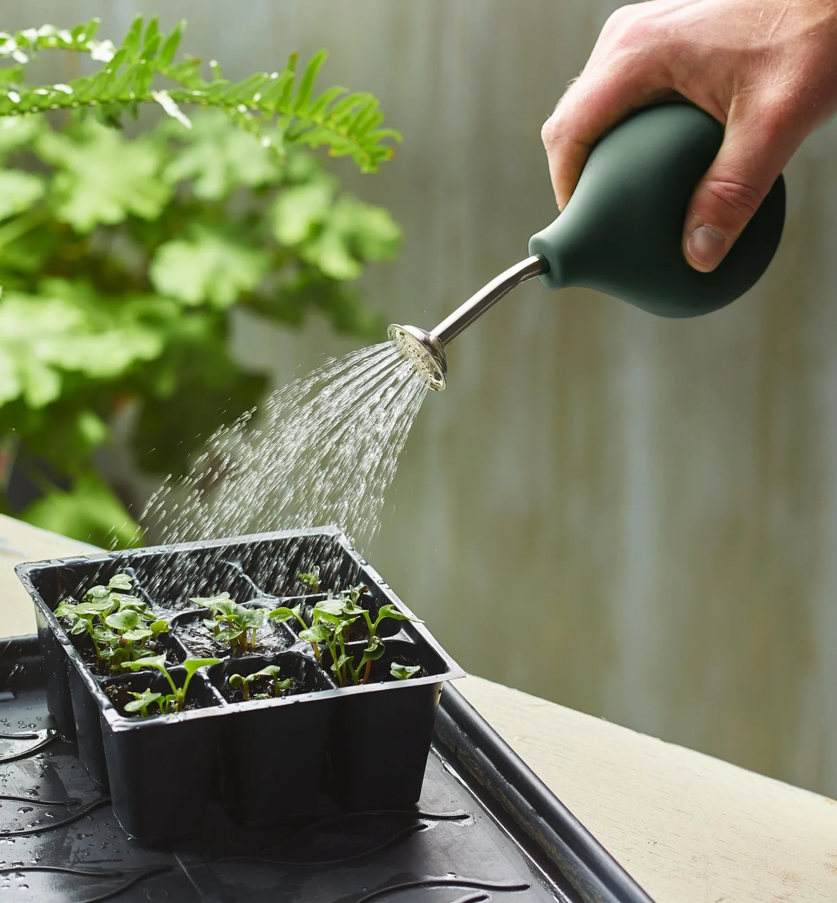 New Seedling Sprayer Indoor Gardening