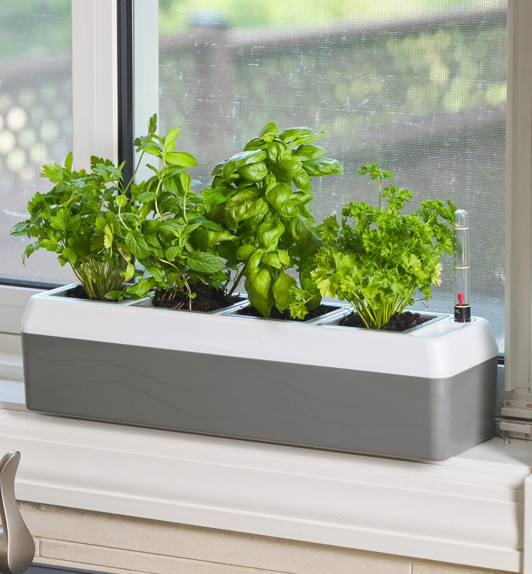 Sale Self-Watering Windowsill Planter Indoor Gardening