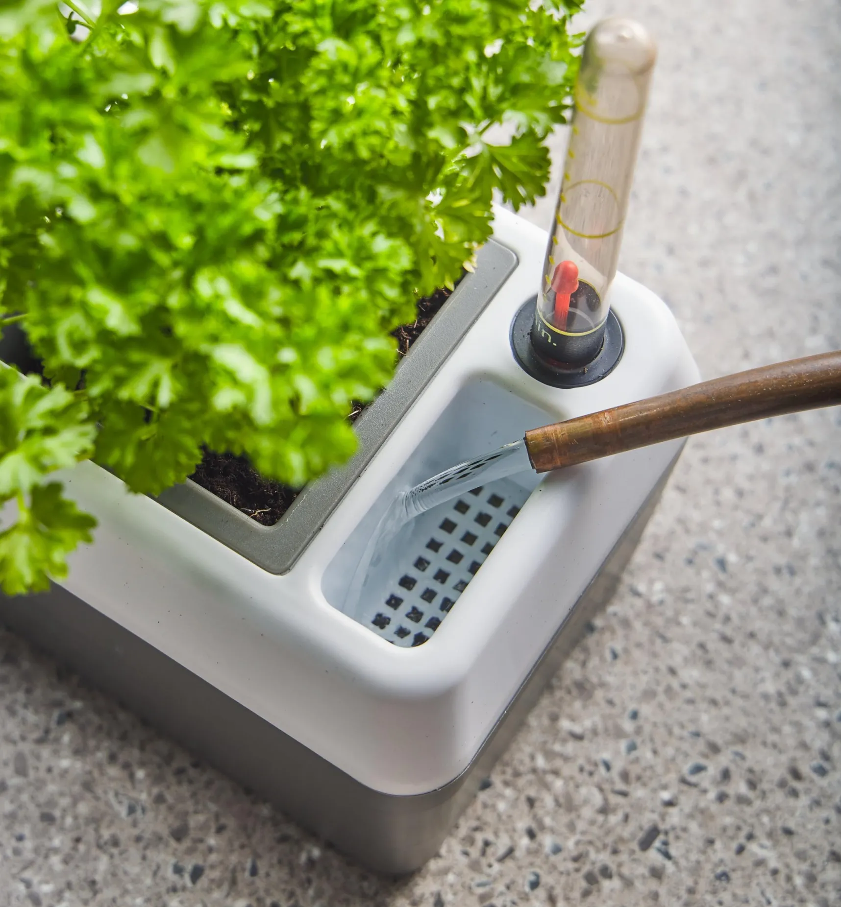 Sale Self-Watering Windowsill Planter Indoor Gardening