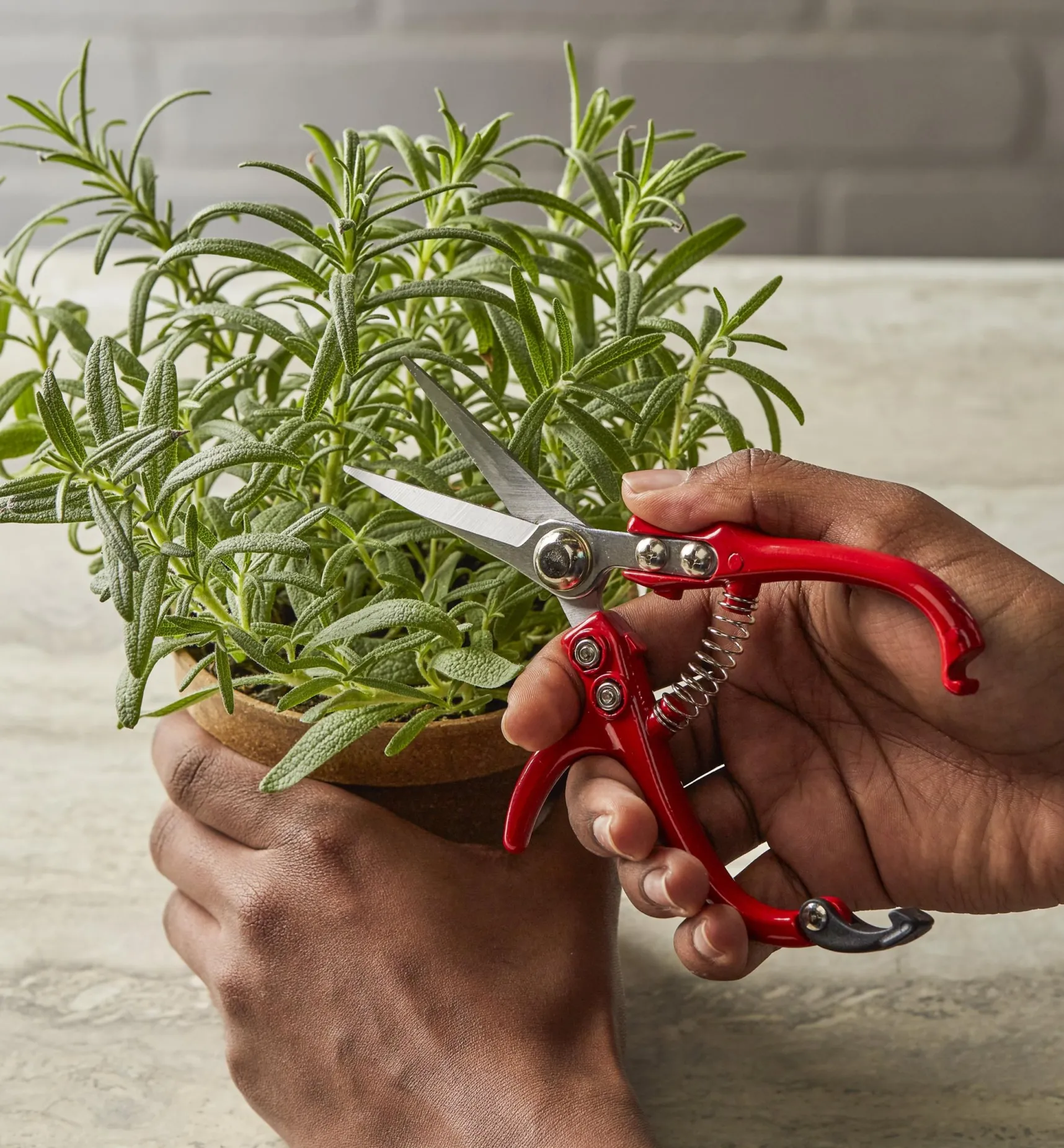 Set Of 2 Mini Garden Shears Garden Care