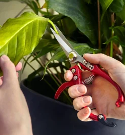 Set Of 2 Mini Garden Shears Garden Care