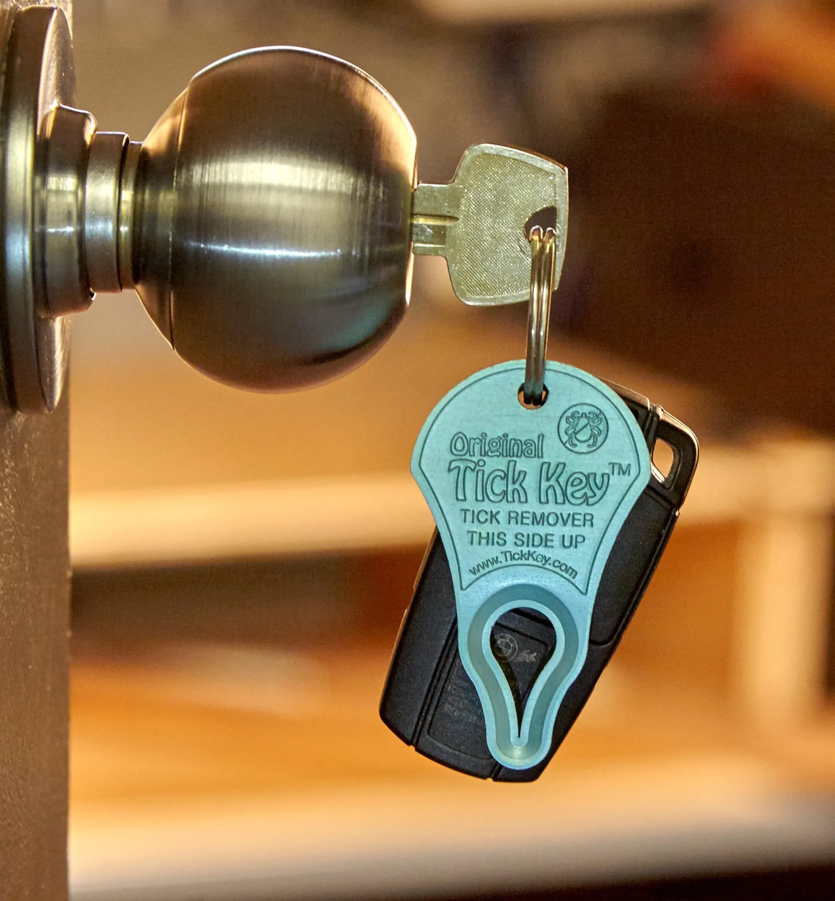 Online Set Of 3 Tick Key Tick Removers Pest Control