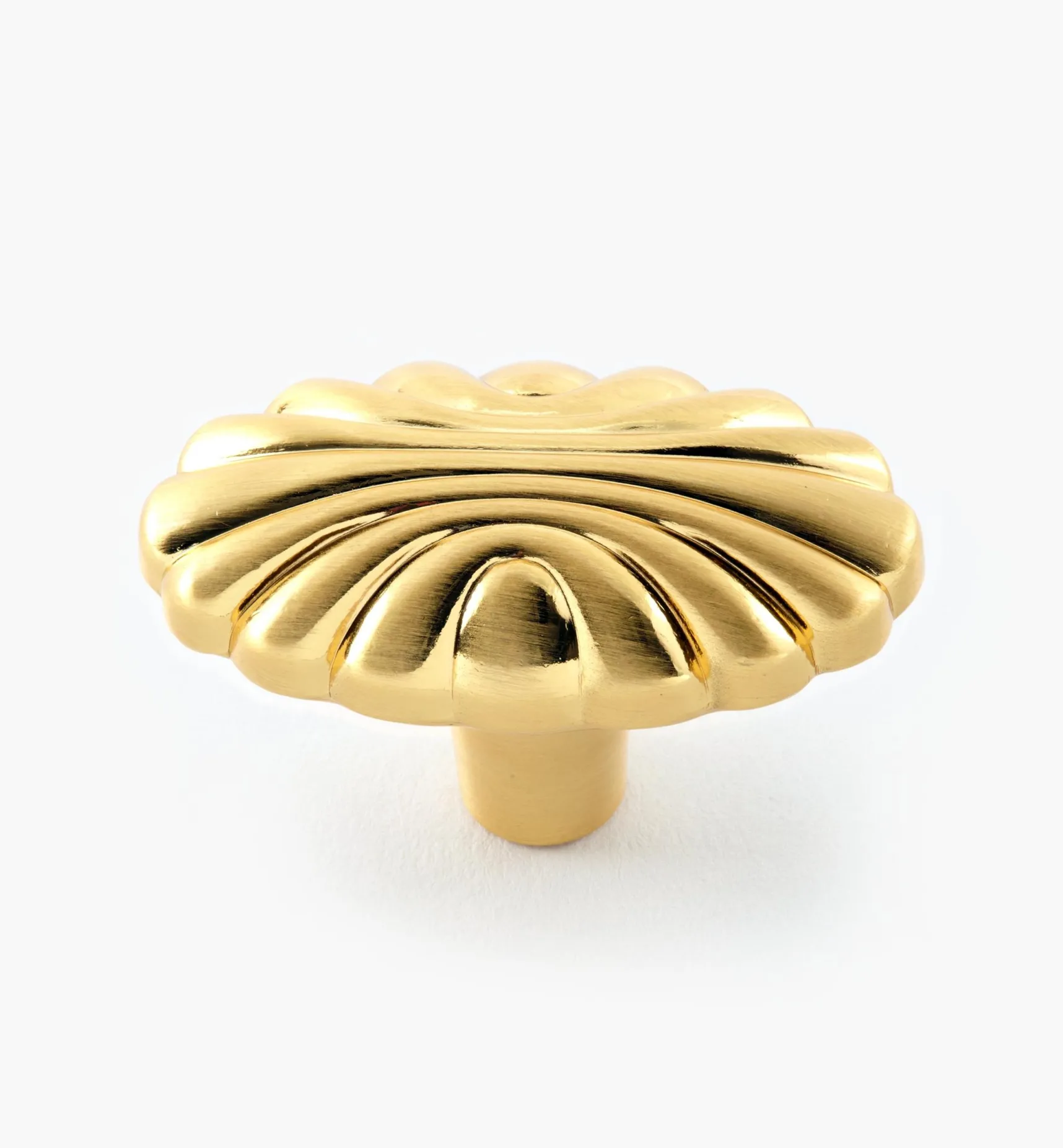 New Shell Motif Knobs Knobs