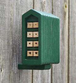 Clearance Solitary Bee Home Pest Control