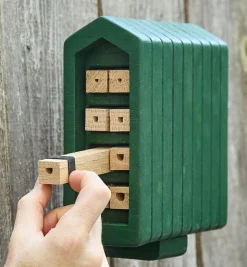 Clearance Solitary Bee Home Pest Control