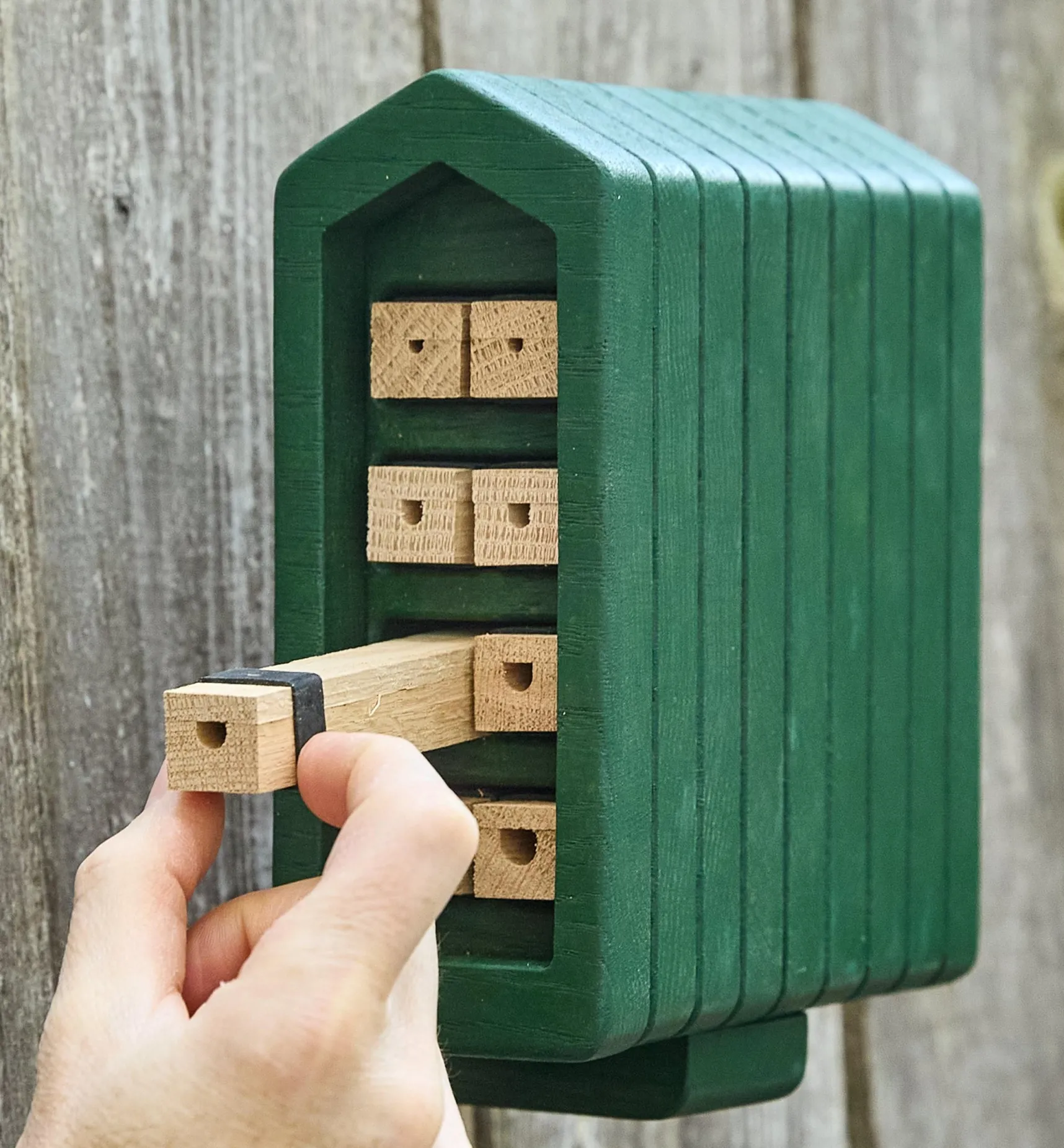 Clearance Solitary Bee Home Pest Control