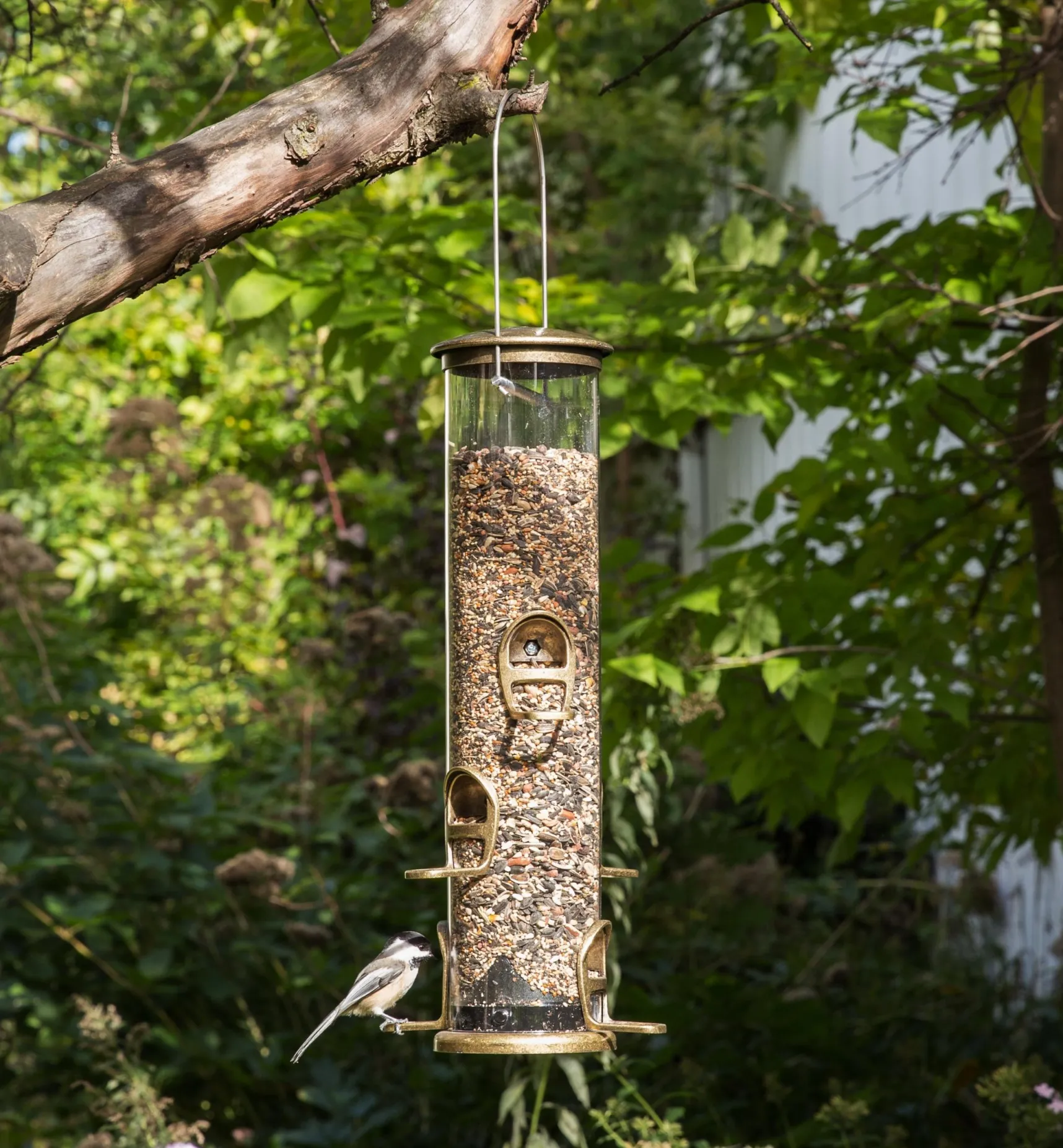 Outlet Songbird Quick-Clean Tube Feeders Birding
