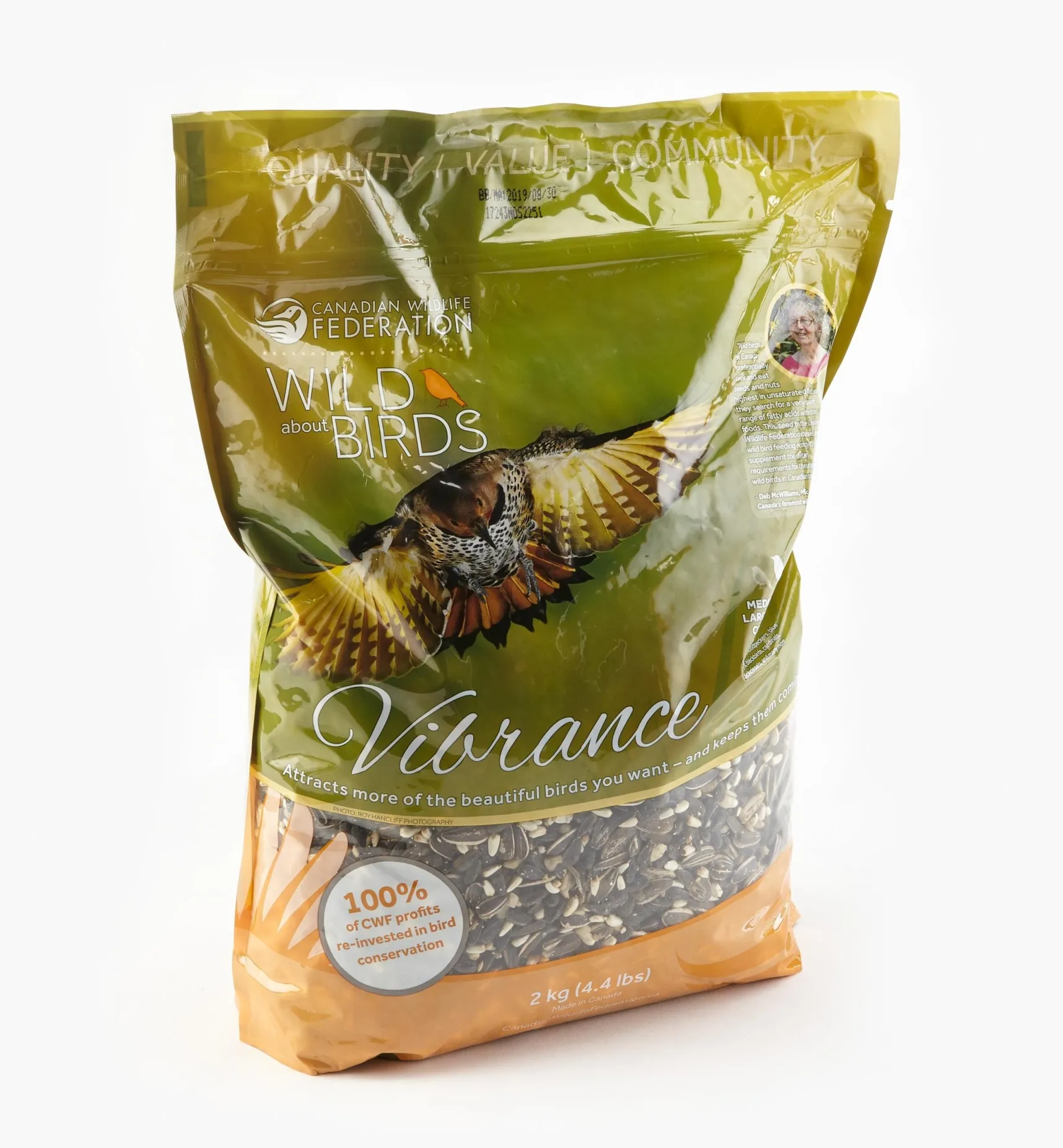 Songbird Seed Birding