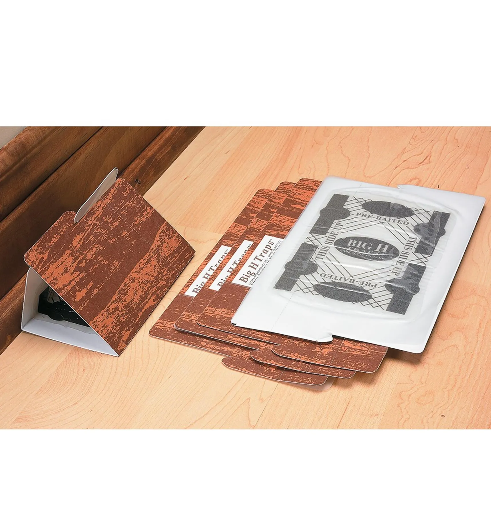 Outlet Spider Traps Pest Control