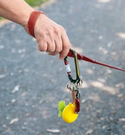 Clearance Split-Ring Carabiners Storage & Organization
