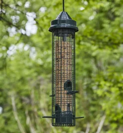 Hot Squirrel Buster Classic Bird Feeder Birding