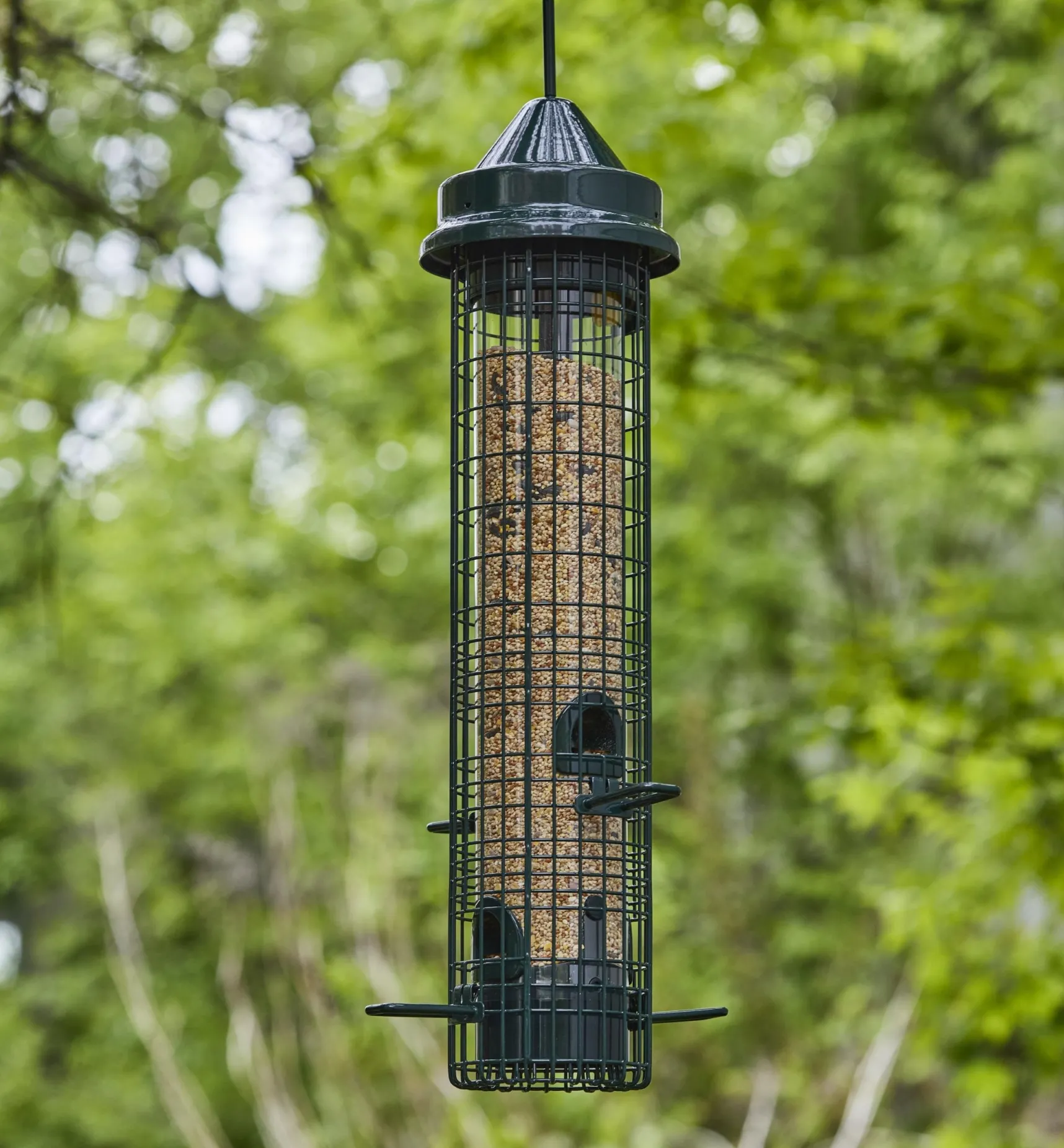 Hot Squirrel Buster Classic Bird Feeder Birding