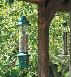 New Squirrel Buster Plus Bird Feeder Birding