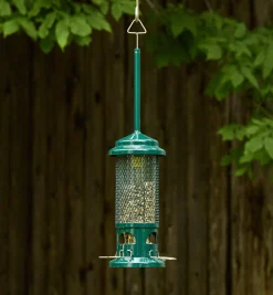 Outlet Squirrel Buster Standard Bird Feeder Birding