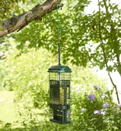 Hot Squirrel Buster Suet Feeder Birding