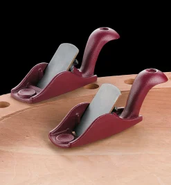 Squirrel-Tail Palm Planes Planes