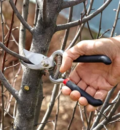 Hot Stainless-Steel Bypass Pruner Pruners