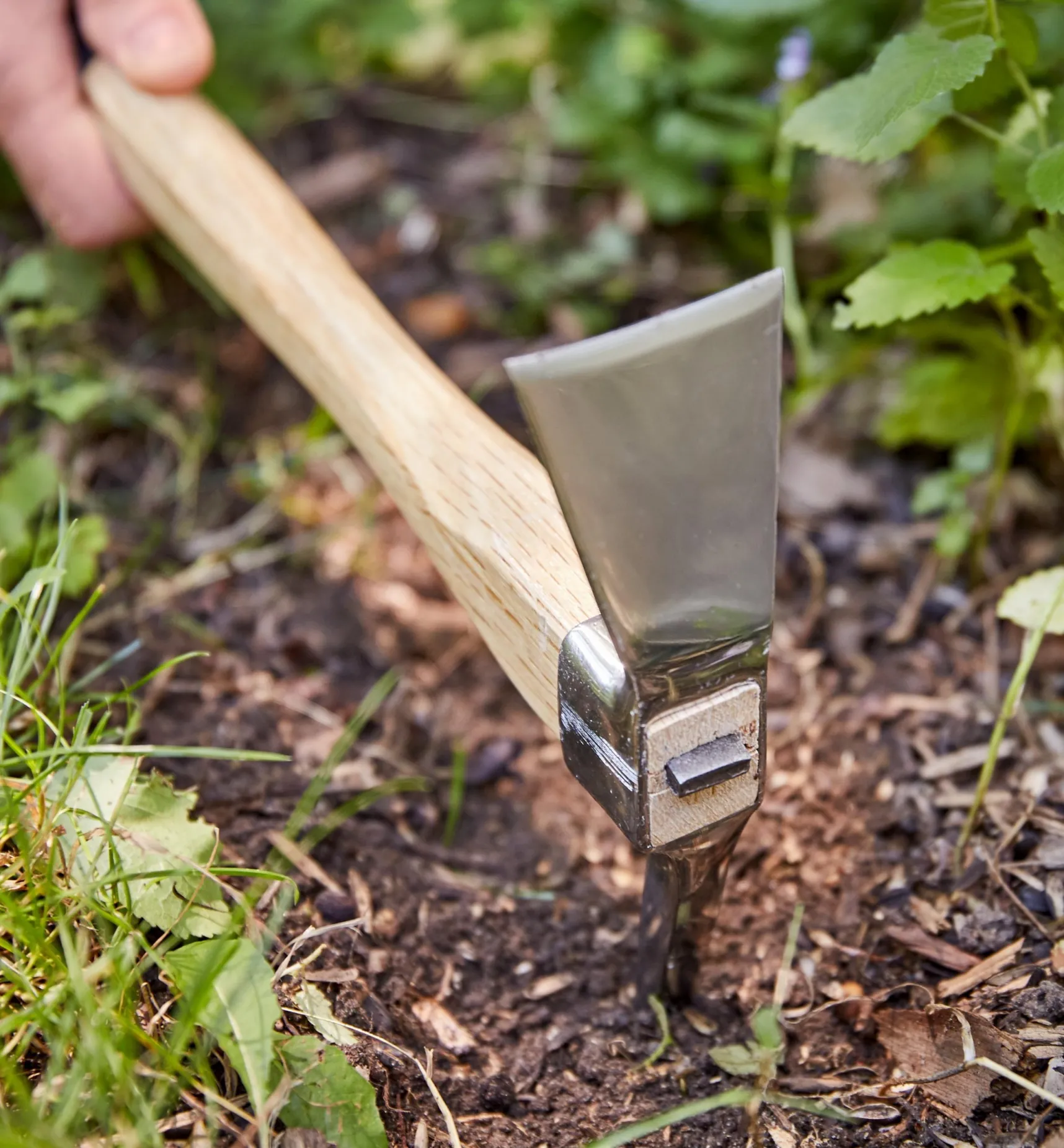 Discount Stainless-Steel Cultivator & Pick Mattocks Set Weeding