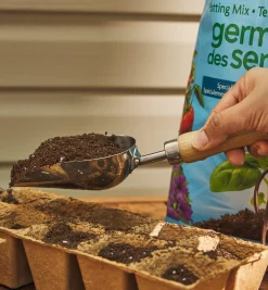 Hot Stainless-Steel Mini Scoop Indoor Gardening