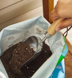 Hot Stainless-Steel Mini Scoop Indoor Gardening